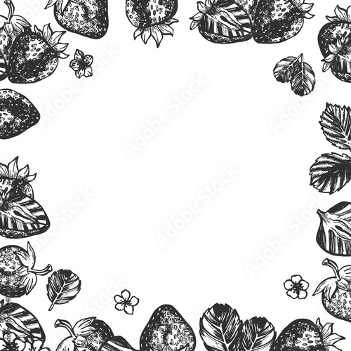 strawberry frame vector sketch. strawberry frame vector hand drawn. eps art vector
