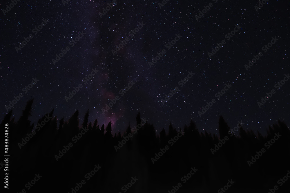 Blue night sky with many stars and trees silhouettes background.