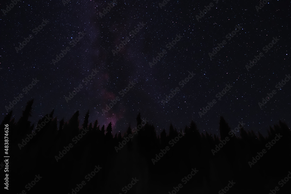 Blue night sky with many stars and trees silhouettes background. Blue night sky with many stars and trees silhouettes background.