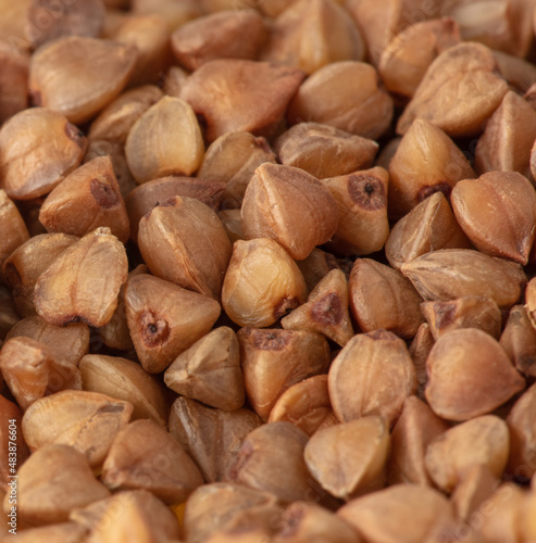 Close-up of buckwheat groats as background.