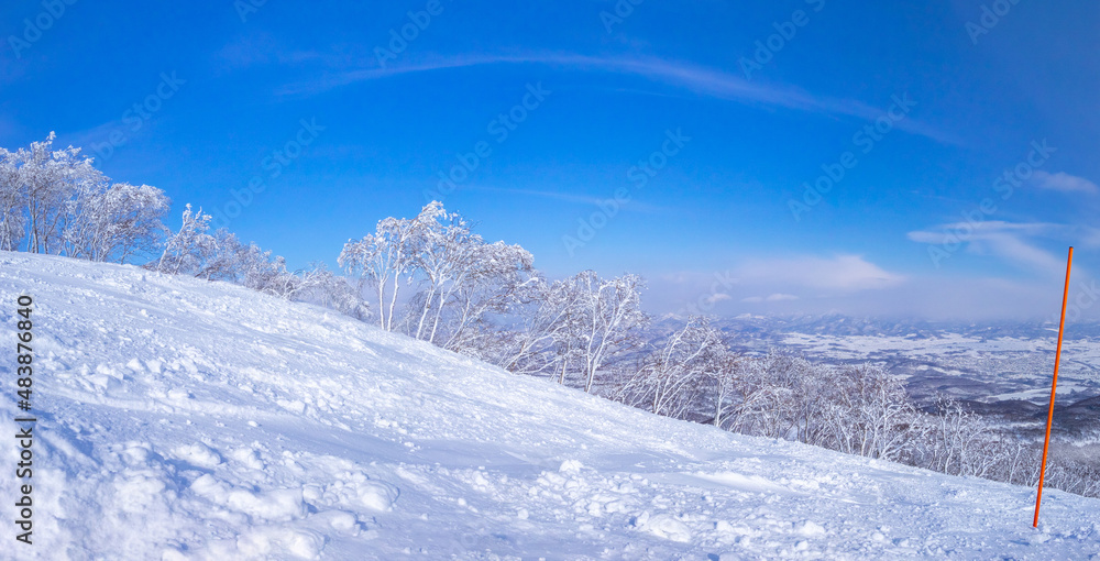 Frozen trees beside a slope (Niseko Hanazono Resort, Hokkaido, Japan)