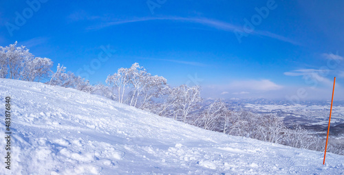 Frozen trees beside a slope (Niseko Hanazono Resort, Hokkaido, Japan) © Mayumi.K.Photography