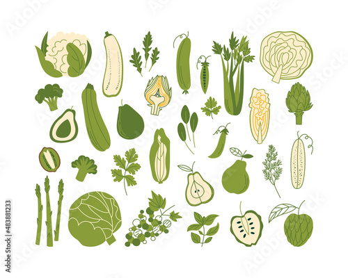 Set of various green vegetables, fruits, herbs in flat style. Vegetable products. Vector illustration with cucumber, pear, asparagus, grape, and other plant food