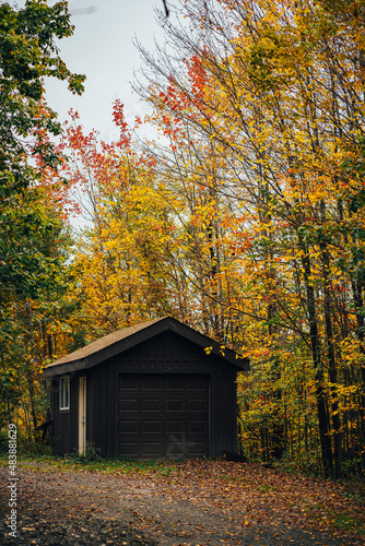 A cabin in the woods surrounded by trees with yellow leaves during fall season in Vermont