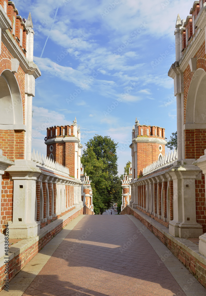 Obraz premium Figure bridge in Tsaritsyno