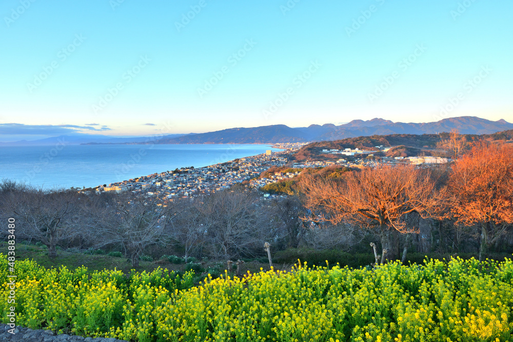 Naklejka premium 吾妻山山頂から眺める相模湾