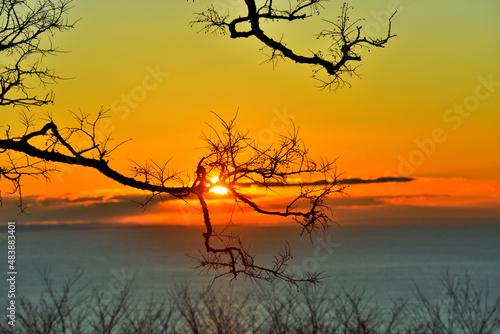 Fototapeta Naklejka Na Ścianę i Meble -  吾妻山から相模湾に昇る朝日を眺める