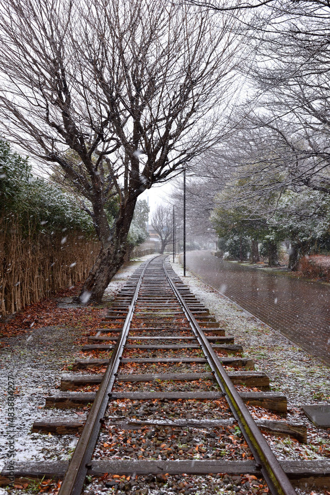 Fototapeta premium 雪景色の寒川一之宮公園緑道