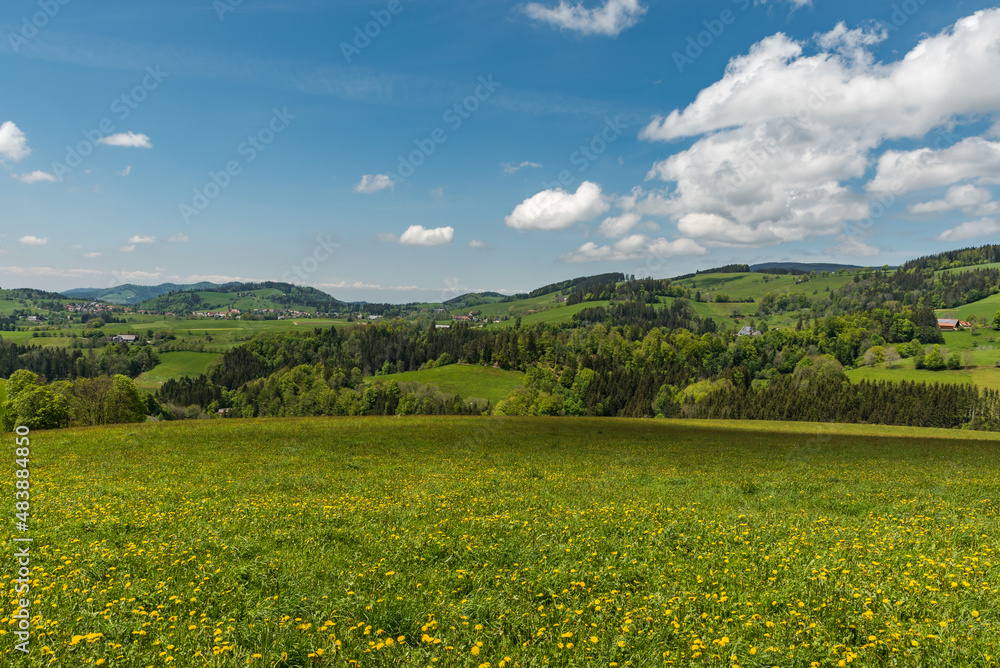Hügellandschaft im Schwarzwald, Baden-Württemberg, Deutschland