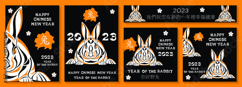 Set of banners with rabbits for Chinese New Year. Chinese translation: we wish you happiness and health in the coming year, hello hare, Vector illustration.