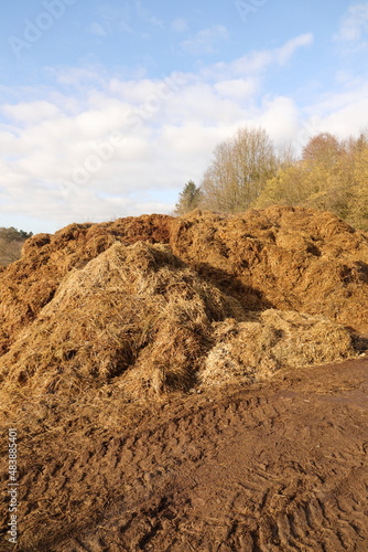 a large dung heap on a horse farm