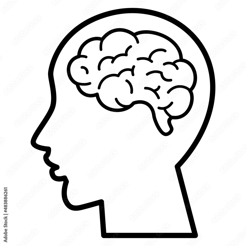 Human Brain Human Brain