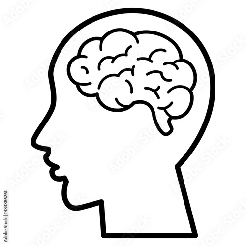 Human Brain