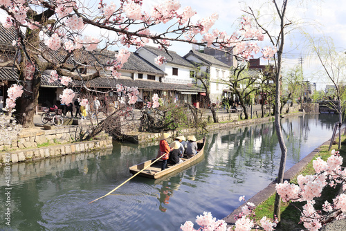People in old-fashioned boat and sakura flowers, Kurashiki canal in Bikan district, Kurashiki city, Japan photo