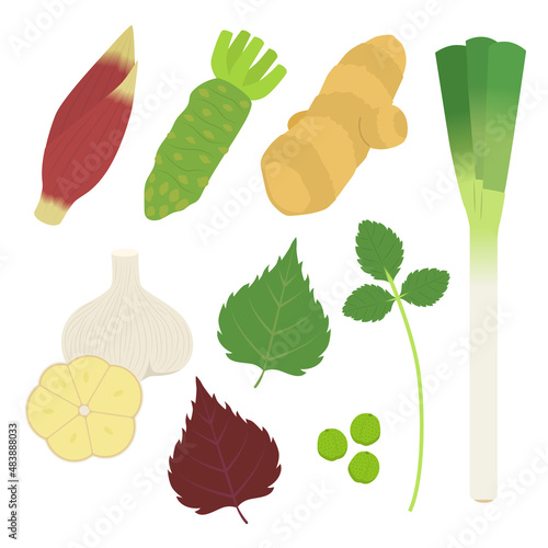 香味野菜のイラスト