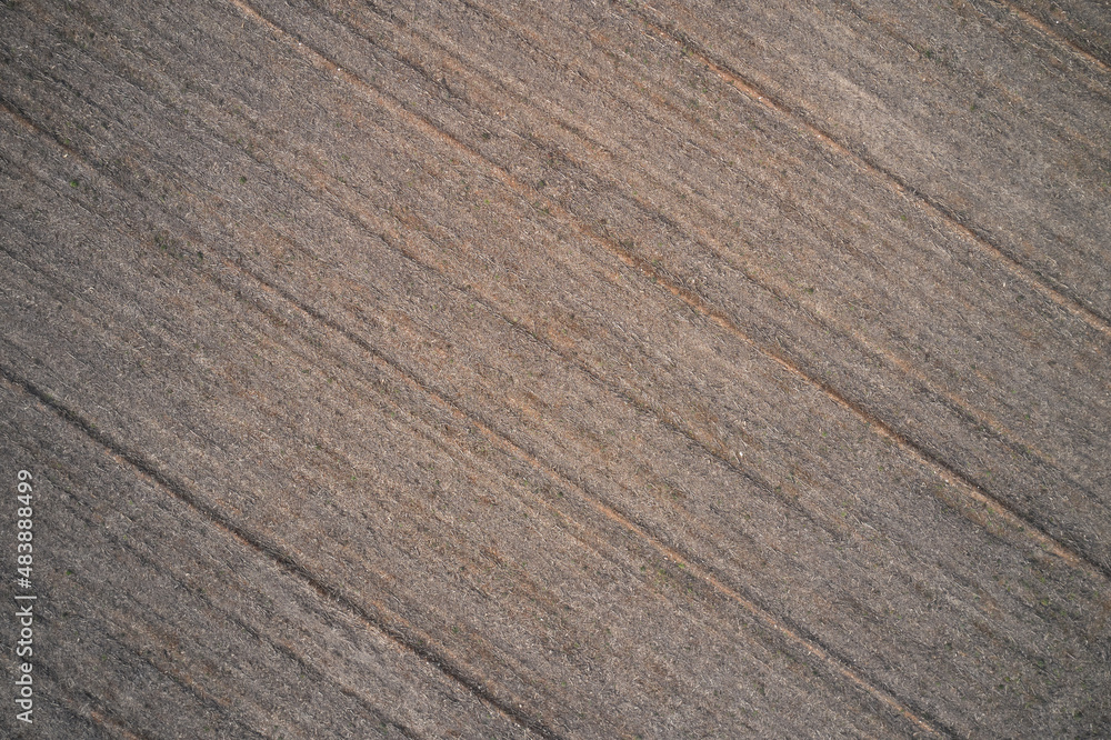 Mowed field plantation aerial view. Texture of dry grass top view. Dry field top view. Mowed field plantation aerial view. Texture of dry grass top view. Dry field top view.