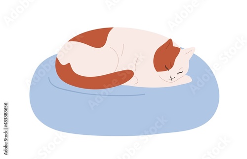 Cute cat sleeping on pet cushion. Kitty asleep, lying on soft cozy pillow. Comfortable home animals furniture for felines. Kitten relaxing. Flat vector illustration isolated on white background