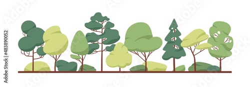 Green tree border. Forest foliage and coniferous plants in row. Mixed wood panorama with stylized fir, poplar trunks and crowns. Flat vector illustration of woodland isolated on white background photo