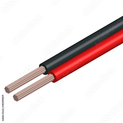 Piece of cable with two copper cores, vector illustration.