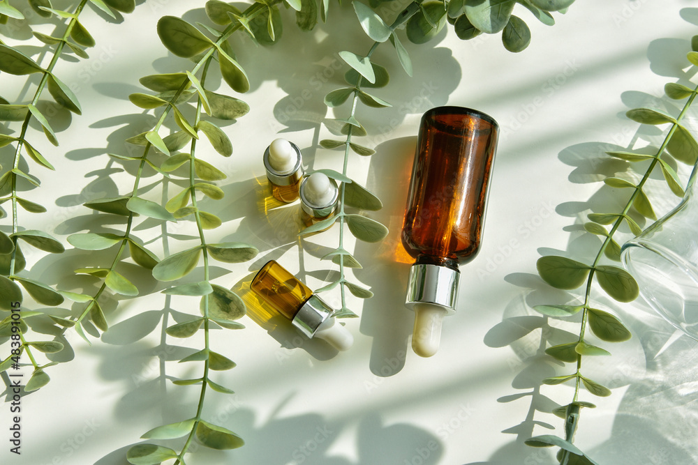 Cosmetic bottle containers packaging with green herbal leaves in shadow and light effect, Blank label for organic branding mock-up, Natural skincare beauty product concept.