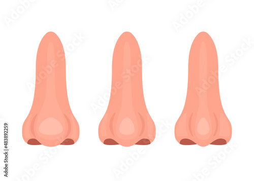 Different nose, correction nasal big and thin, surgery rhinoplasty. Nose before and after treatment. Vector illustration