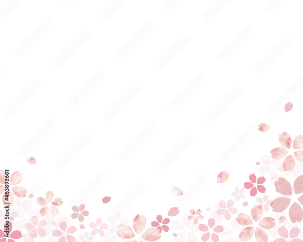 手書き　水彩　桜　背景　白背景