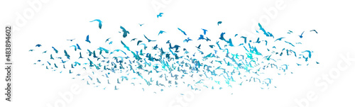 A flock of blue birds. Vector illustration