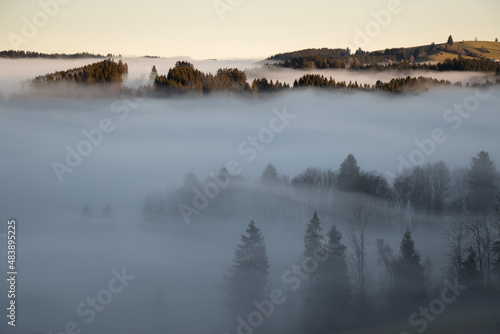 Fototapeta Naklejka Na Ścianę i Meble -  Foggy morning