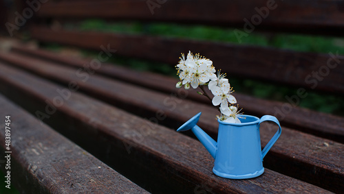 Little watering pot with water and flowers