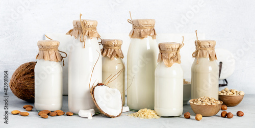 Non dairy plant based milk in bottles and ingredients on light background. Alternative lactose free milk substitute, banner photo