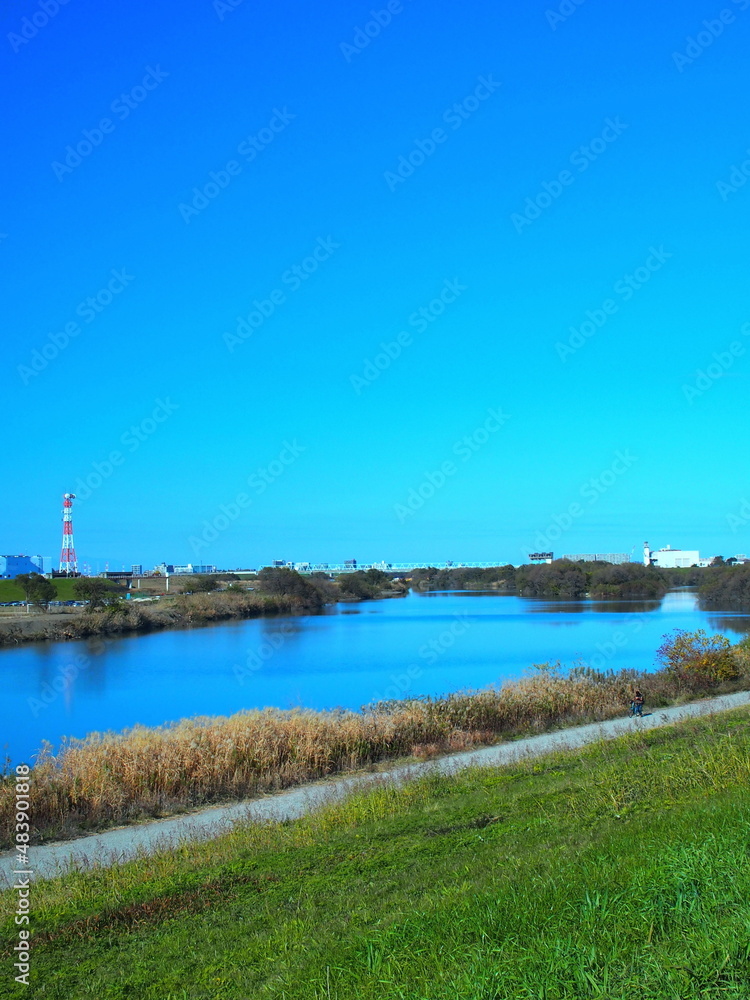 冬の土手から見る枯れた荻原のある江戸川と対岸風景