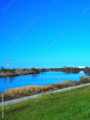 冬の土手から見る枯れた荻原のある江戸川と対岸風景