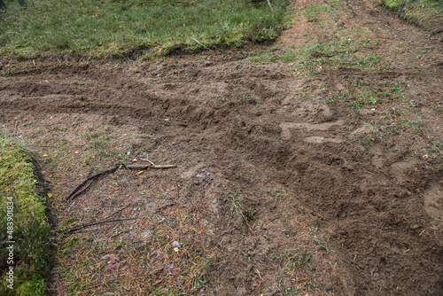 Forest motorcycle trails in the ground, with visible tyre marks.