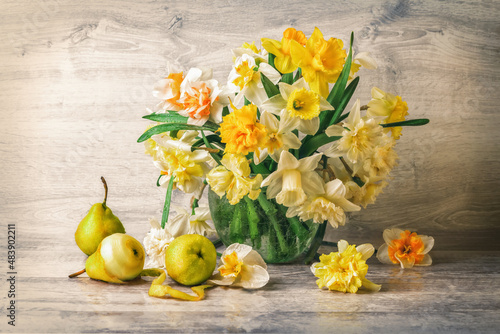 Still life. Bouquet of colorful daffodils and pear on white wooden vintage background