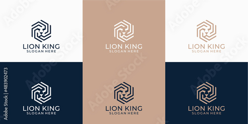 abstract line art lion logo design