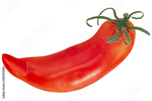 Jersey Devil heirloom pepperlike tomato  (Solanum lycopersicum fruit) isolated © maxsol7