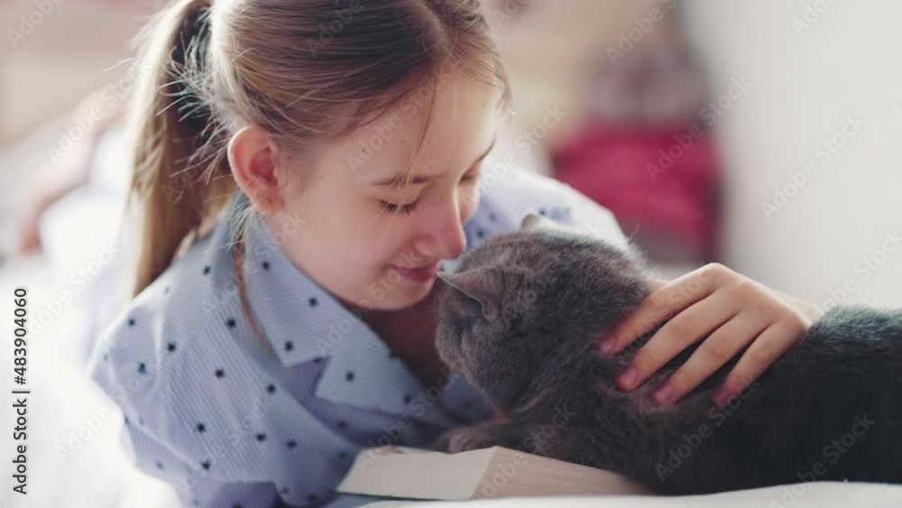 Girl strokes a grey cat while reading a book. Cute white cat lies next to a child reading a book and taking time to a pet. A fluffy grey cat kisses its owner while sitting in her arms. Girl strokes a grey cat while reading a book. Cute white cat lies next to a child reading a book and taking time to a pet. A fluffy grey cat kisses its owner while sitting in her arms.