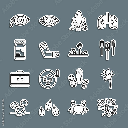 Set line Bacteria, Flower producing pollen, Wheat, Runny nose, Inhaler, Medicine bottle and pills, Reddish eye allergic conjunctivitis and Mold icon. Vector