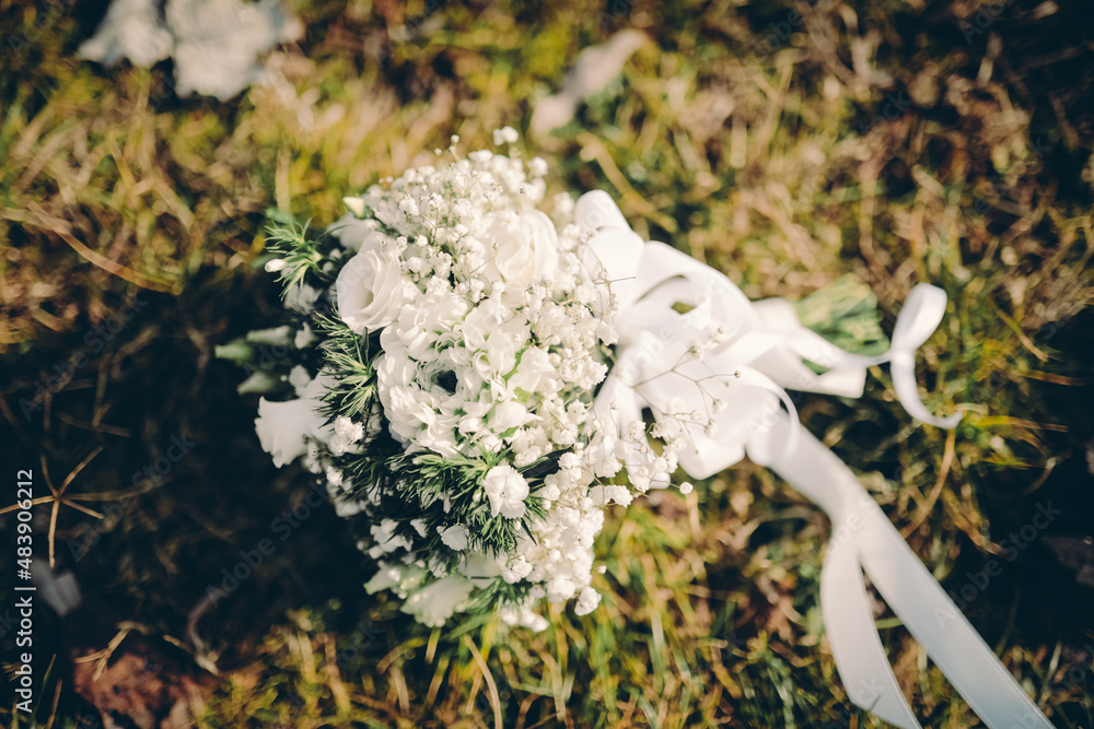 Fototapeta premium flower