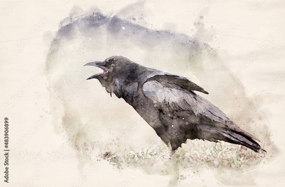 Obraz premium Raven ( Corvus corax ) waterpaint image