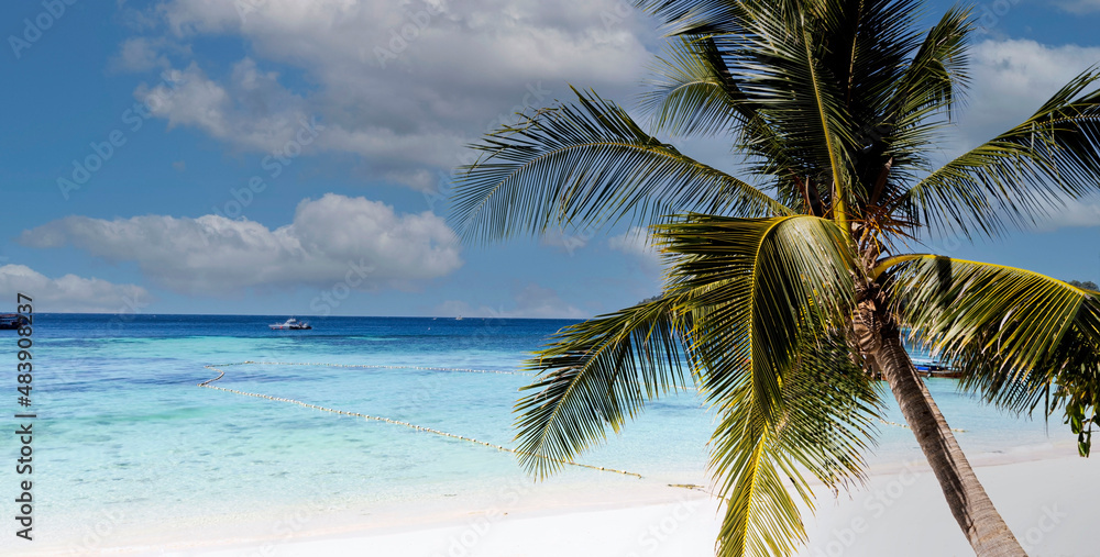 Obraz premium Summer tropical season with the banner of summer and Palm tree as the white sand Beach - Tropical journey Holiday concept