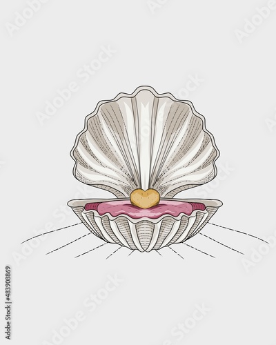illustration vector graphic of shell and dick pearl shape,suitable for template,background,print,etc.