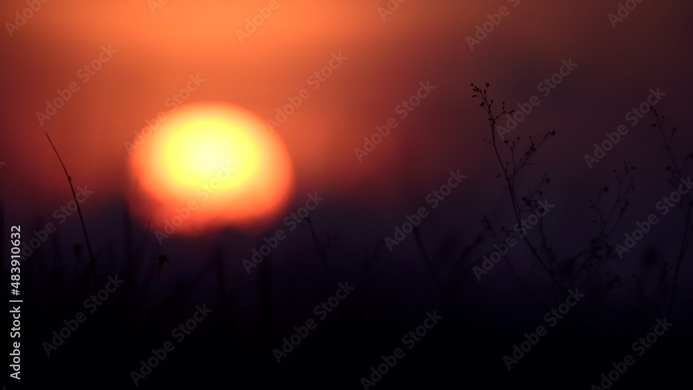 sunset in the tropical grassland field,twilight time romantic concept.