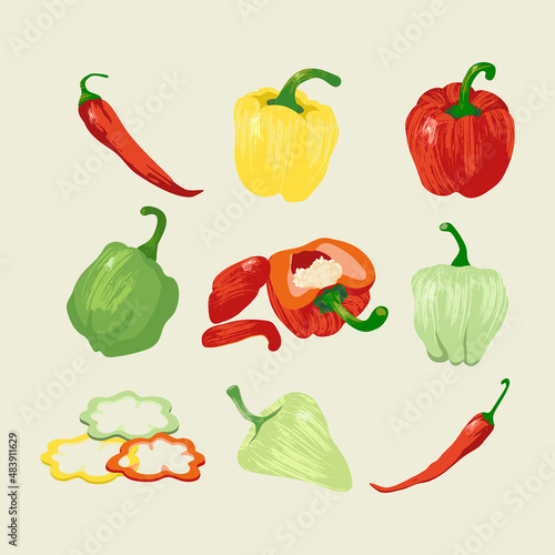 Vector peppers set. Isolated red, yellow, green peppers. Illustration with brush texture