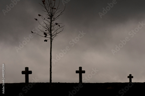 Wallpaper Mural old graveyard in Belgium Torontodigital.ca