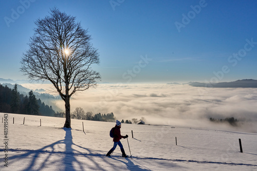woman, snowshoeing in sunset in the Bregenzer Wald area of Vorarlberg, Austria with spectacular view on Mount Saentis, Switzerland