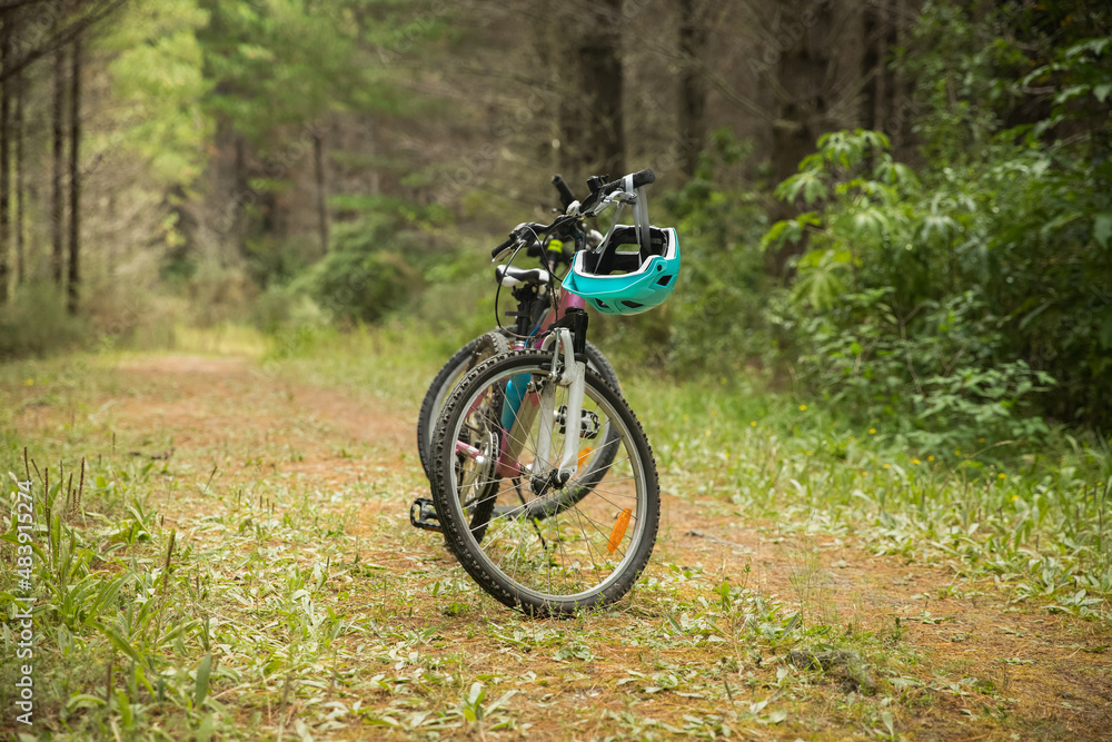 two mountain bikes on natural background, forest or park. healthy lifestyle, family day out