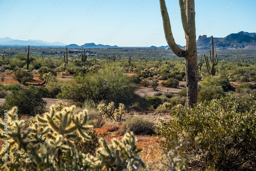 Fototapeta premium An overlooking view of Lost Dutchman SP, Arizona