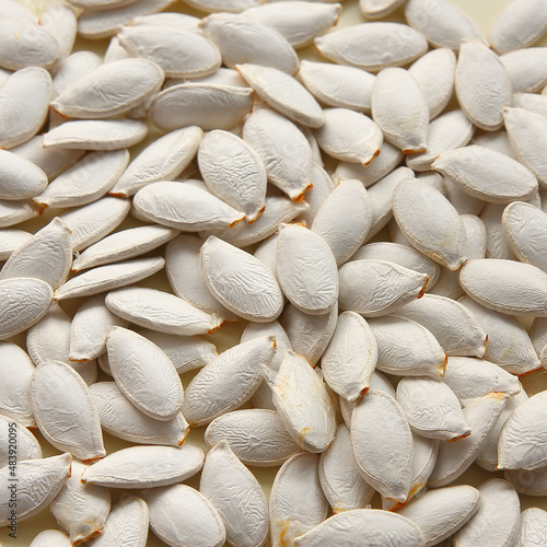 Food background of pumpkin seeds. pumpkin seeds background. Square texture of large white seeds.