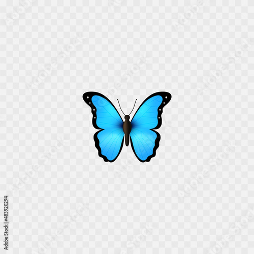 Blue Butterfly emoji. Isolated on white. Beautiful Butterfly realistic icon. Vector